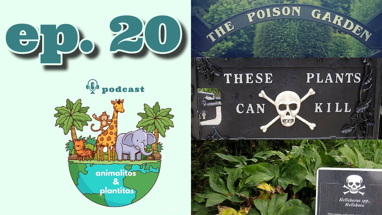 🎧 PODCAST animalitos & plantitas • EP20 El jardín de los venenos
