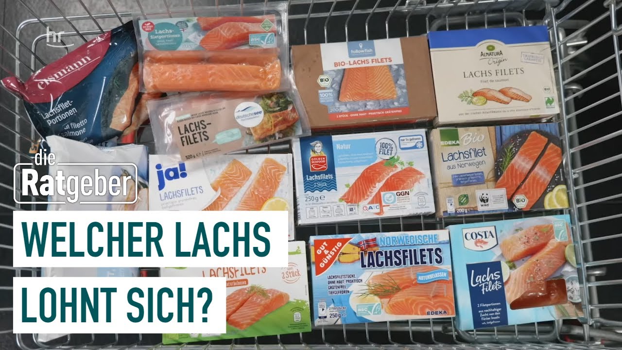 Fisch im Test – Lecker Lachs oder lieber nicht? | Die Ratgeber