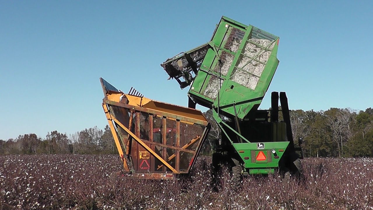 2020 Cotton Harvest, Graceville, Florida