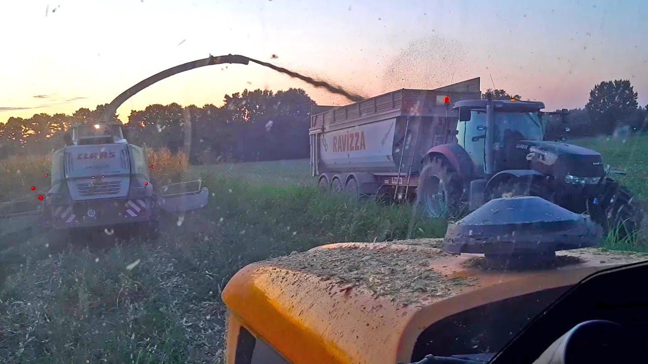 Trinciatura Mais 2019 - Azienda Agricola Agricorte & Orsi
