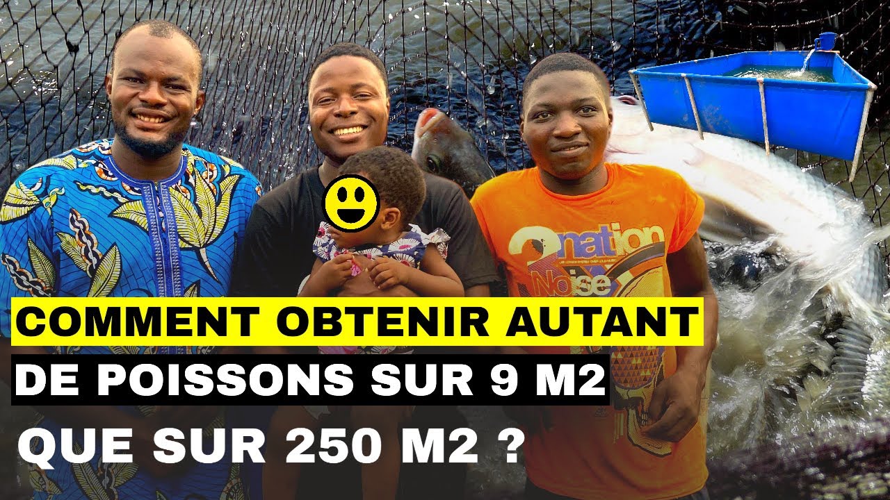 Comment obtenir autant de poissons sur 9 m2 que sur 250 m2 ?