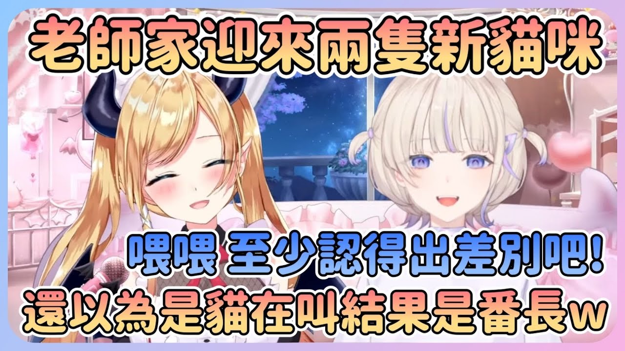 自認不太受貓親近的番長認真和貓玩，結果被老師誤成貓在叫w而且看到番長還特別聽話!?【癒月巧可】【轟一 】【Hololive中文】
