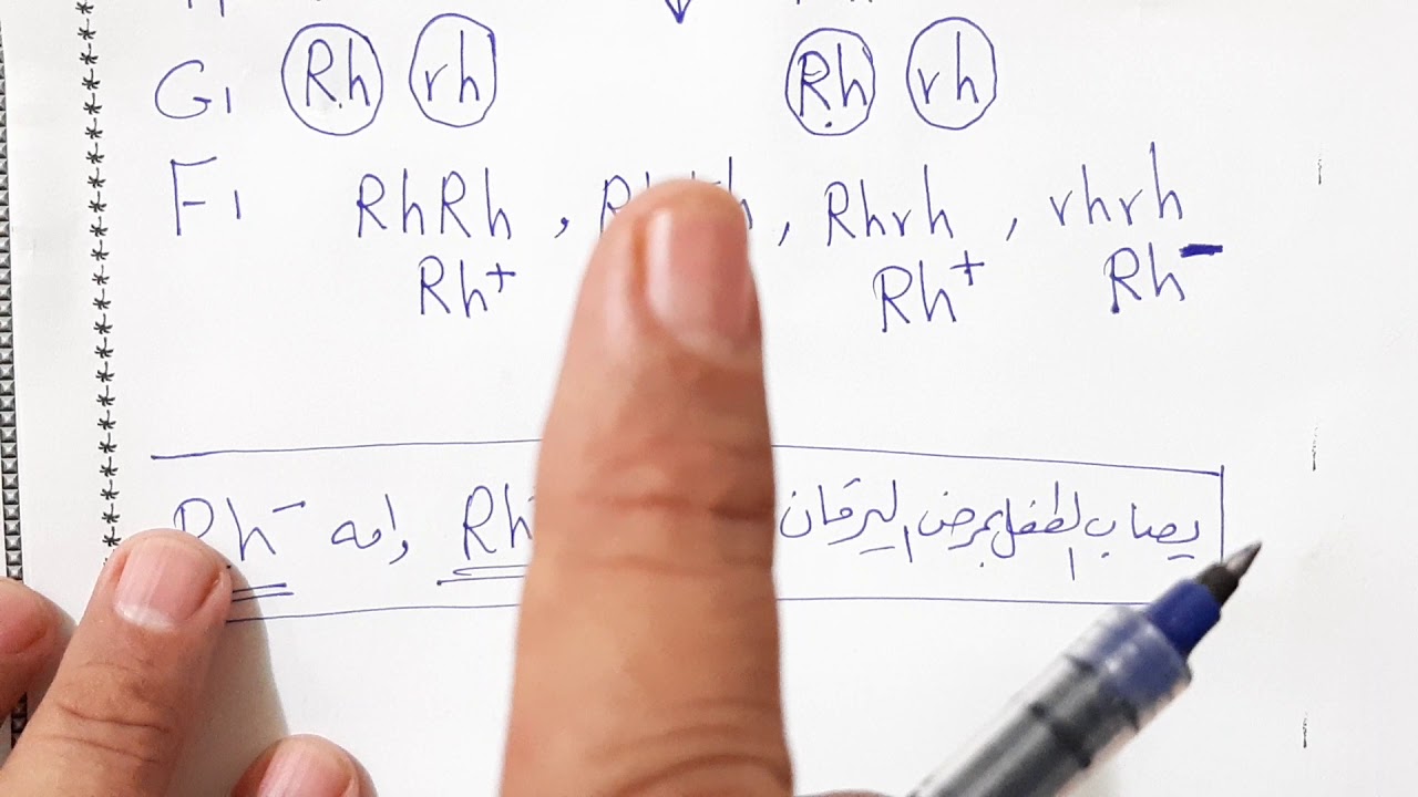 م٣٩/ وراثه لامندليه / مسائل Rh