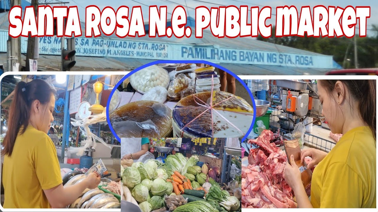 SANTA ROSA NUEVA ECIJA PUBLIC MARKET 