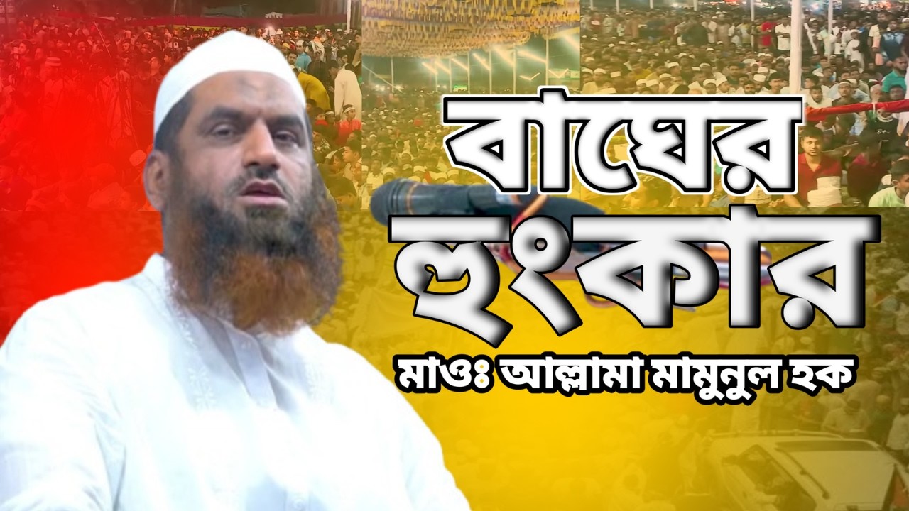 আল্লামা মামুনুল হকের আহ্বান ,তোমরা কল্যাণের পথে আসো ।Allama Mamunul Haque.