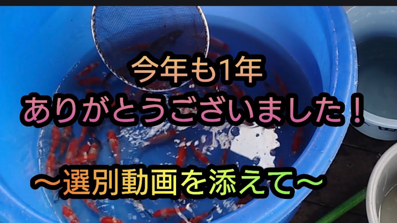 今年も1年ありがとうございました！～選別動画を添えて～