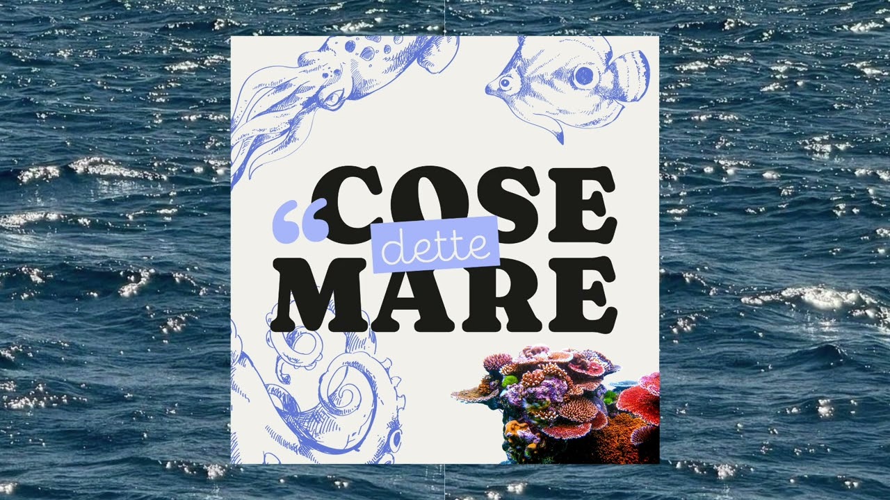 #31 - Coralli: Un giorno contro le RNasi