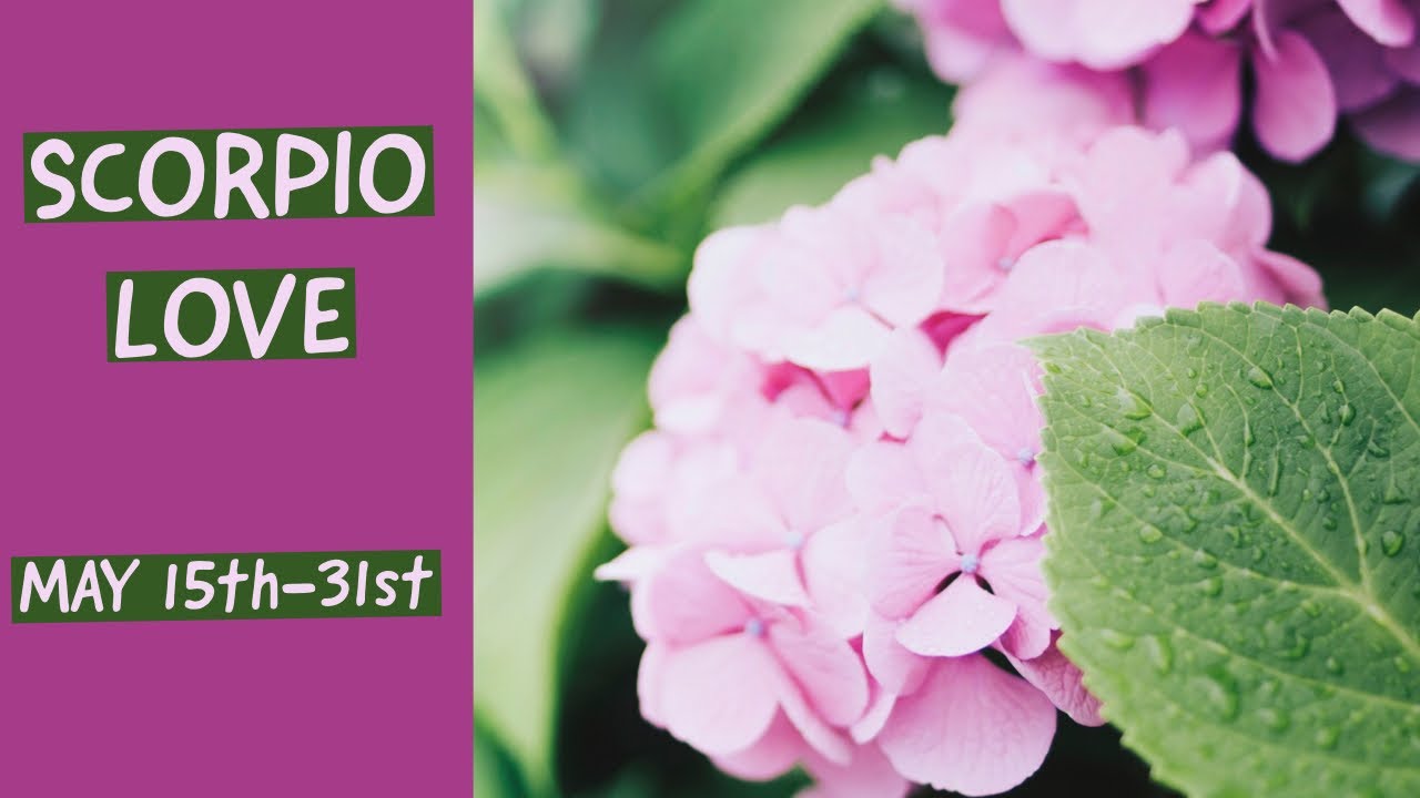 SCORPIO LOVE:  MAY 15th-31st  “LOVE YOU UNTIL THE END OF TIME, BUT WHEN I’M DONE, I’M DONE.