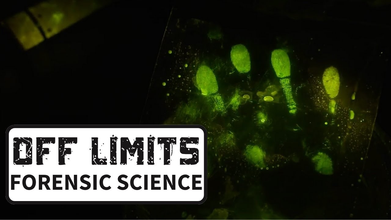 Off Limits: Forensic Science - Go behind the scenes inside a real crime lab