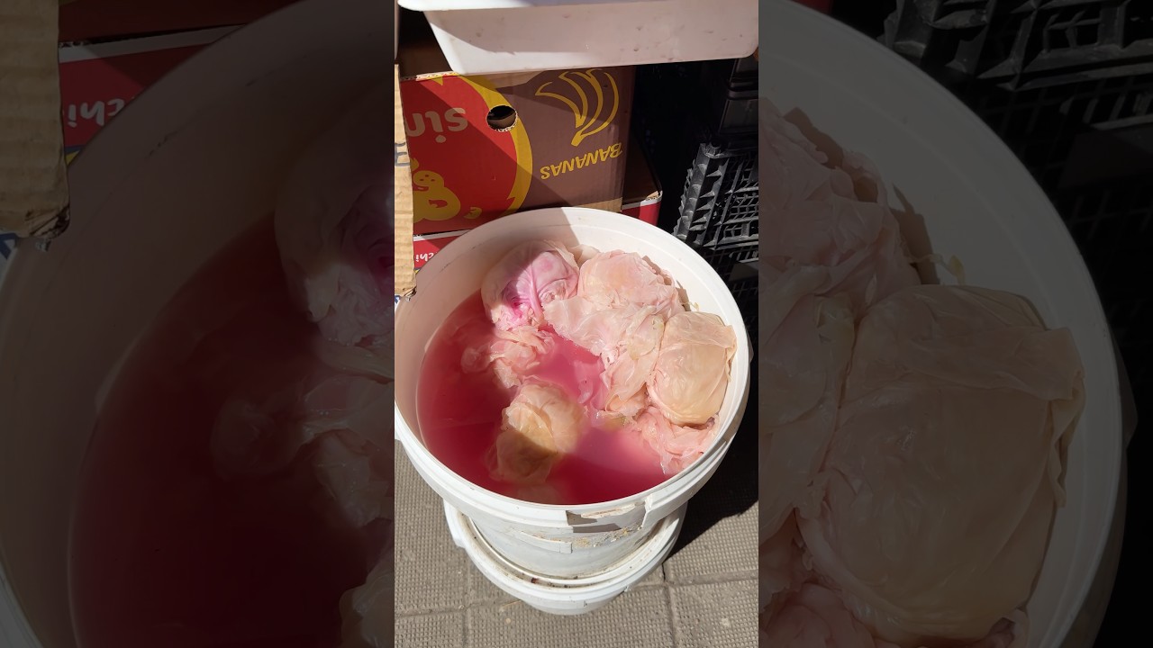 Ktoś jeszcze tak kisi? #bułgaria #kiszonki #probiotyki #warzywa #rynek