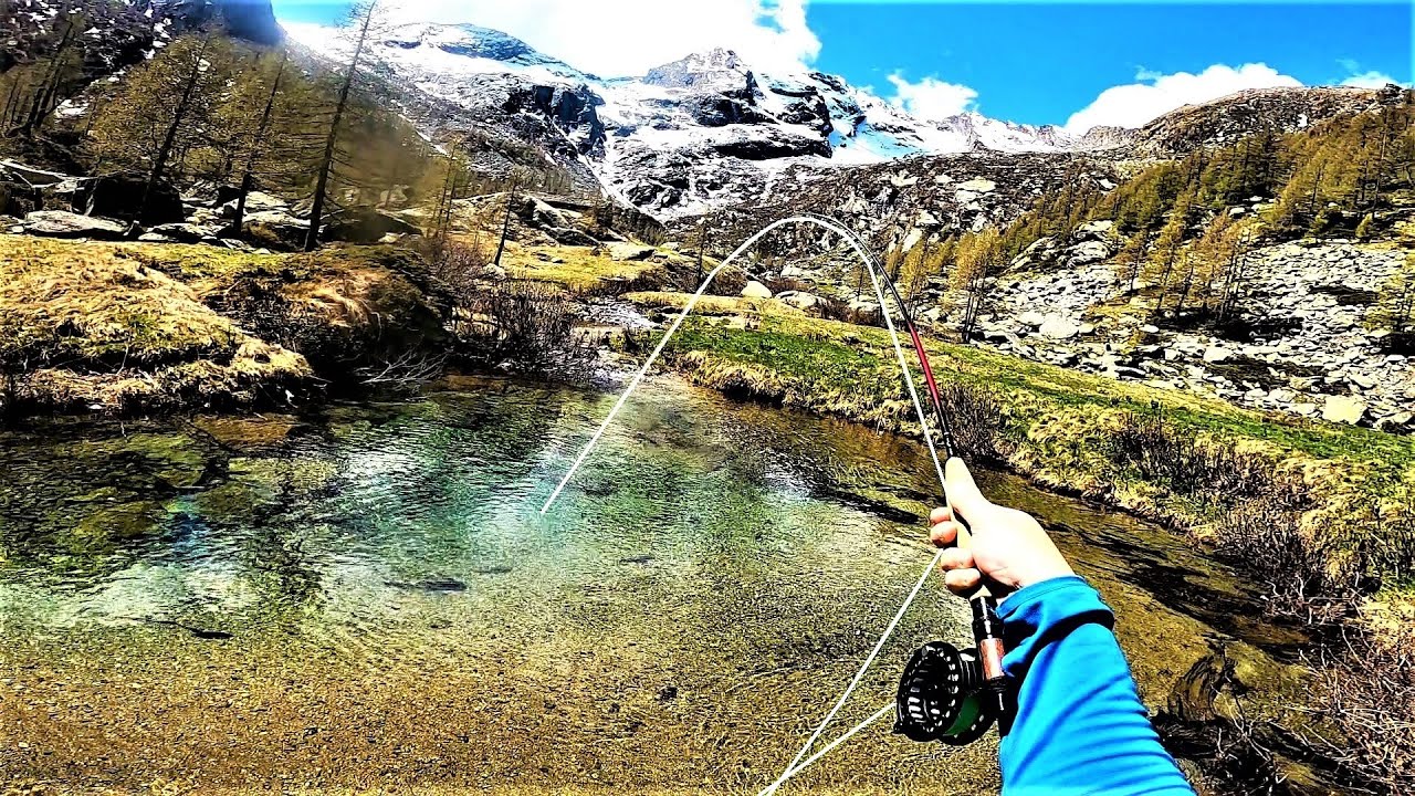IL Paradiso della Pesca a Mosca / Trota Torrente