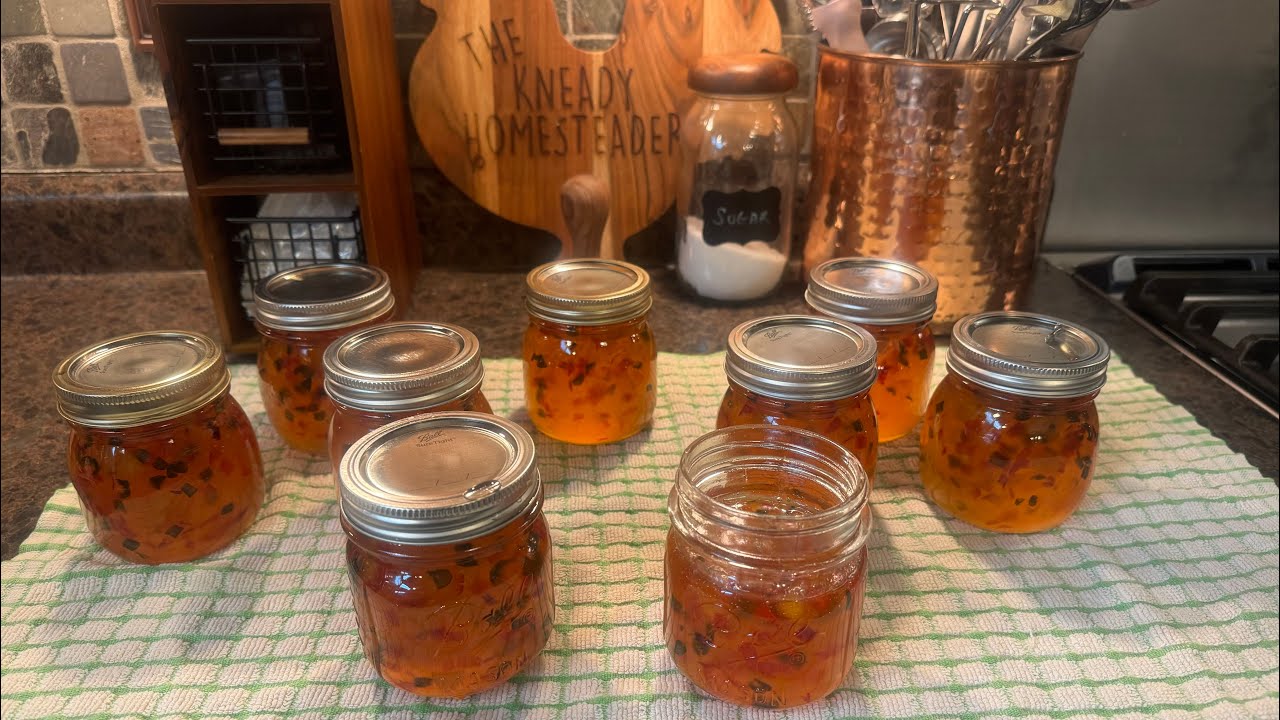 Canning Apricot Jalapeno Pepper Jelly