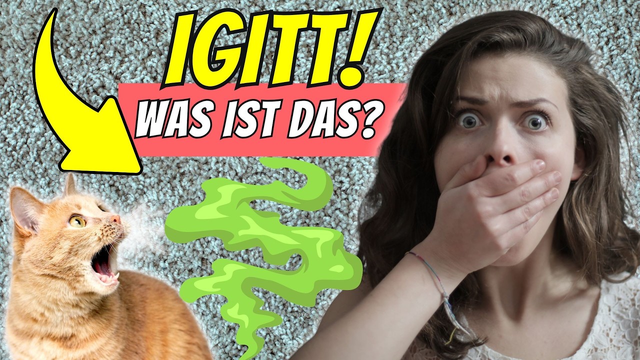 Katzenurin Geruch & Flecken entfernen (Sofa, Teppich, Kleidung, Matratze) 😍