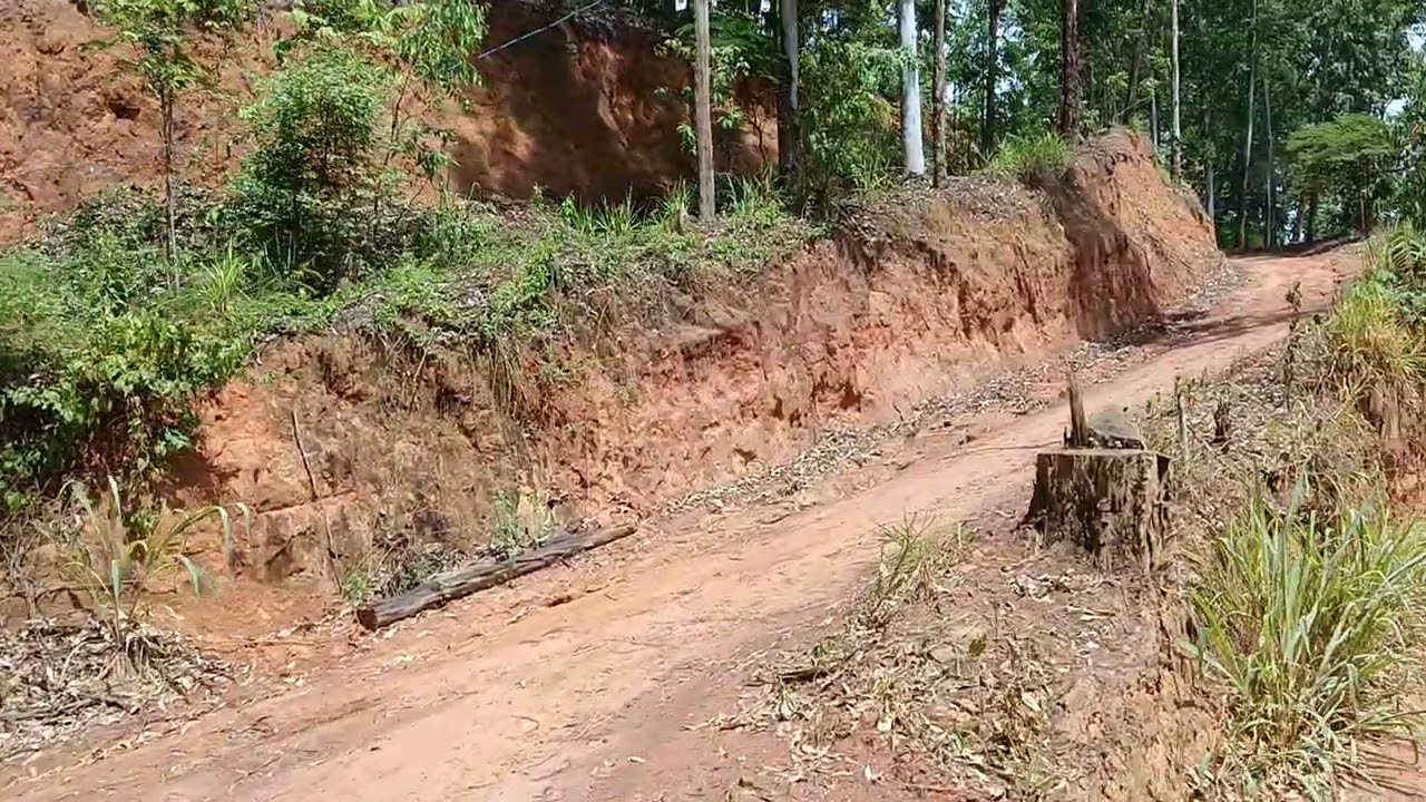 Passando pela estrada mais dificio do és cheia de obstáculos pontes estreitas #gbn