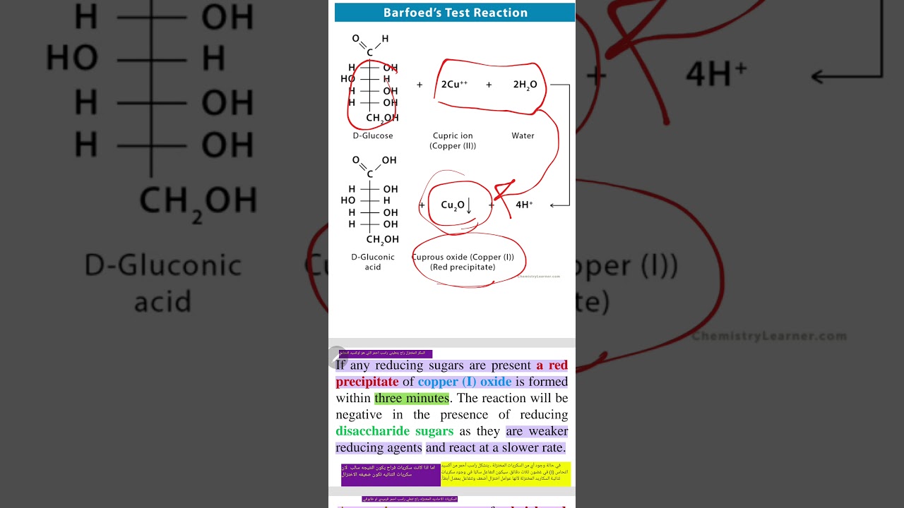 lab chemistry / barfoed's test