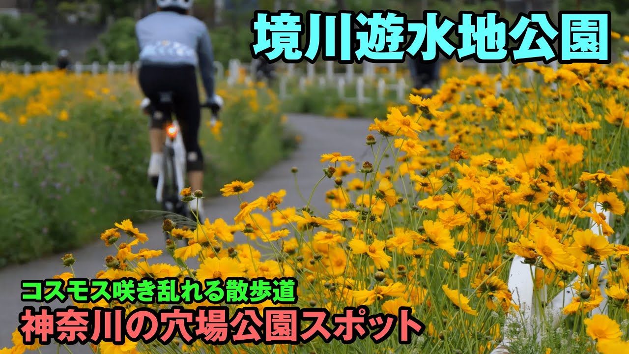 神奈川の穴場公園スポット 境川遊水地公園