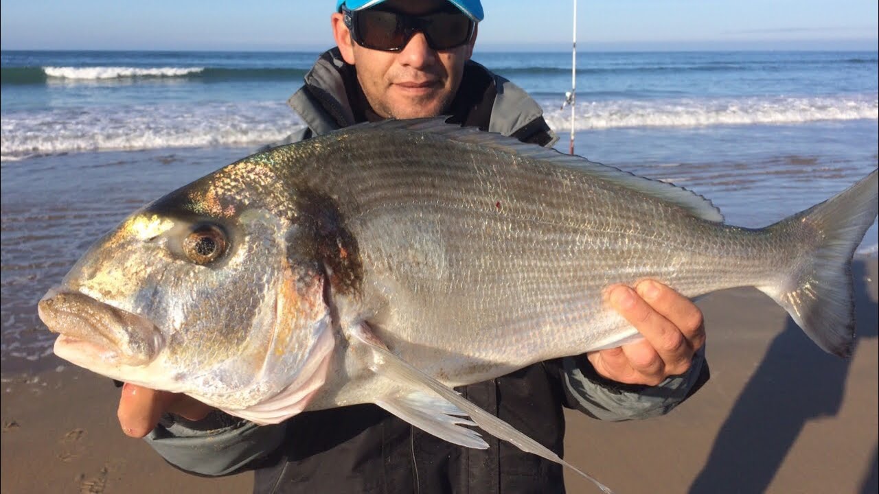 RAUL MARIO DORADA NO LINE 2024 FISHING GIGANTE