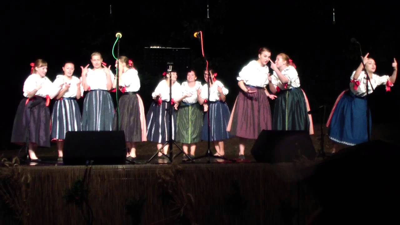 Slovácký rok v Kyjově 2015 - FS Salajka Dambořice - Klebetnice