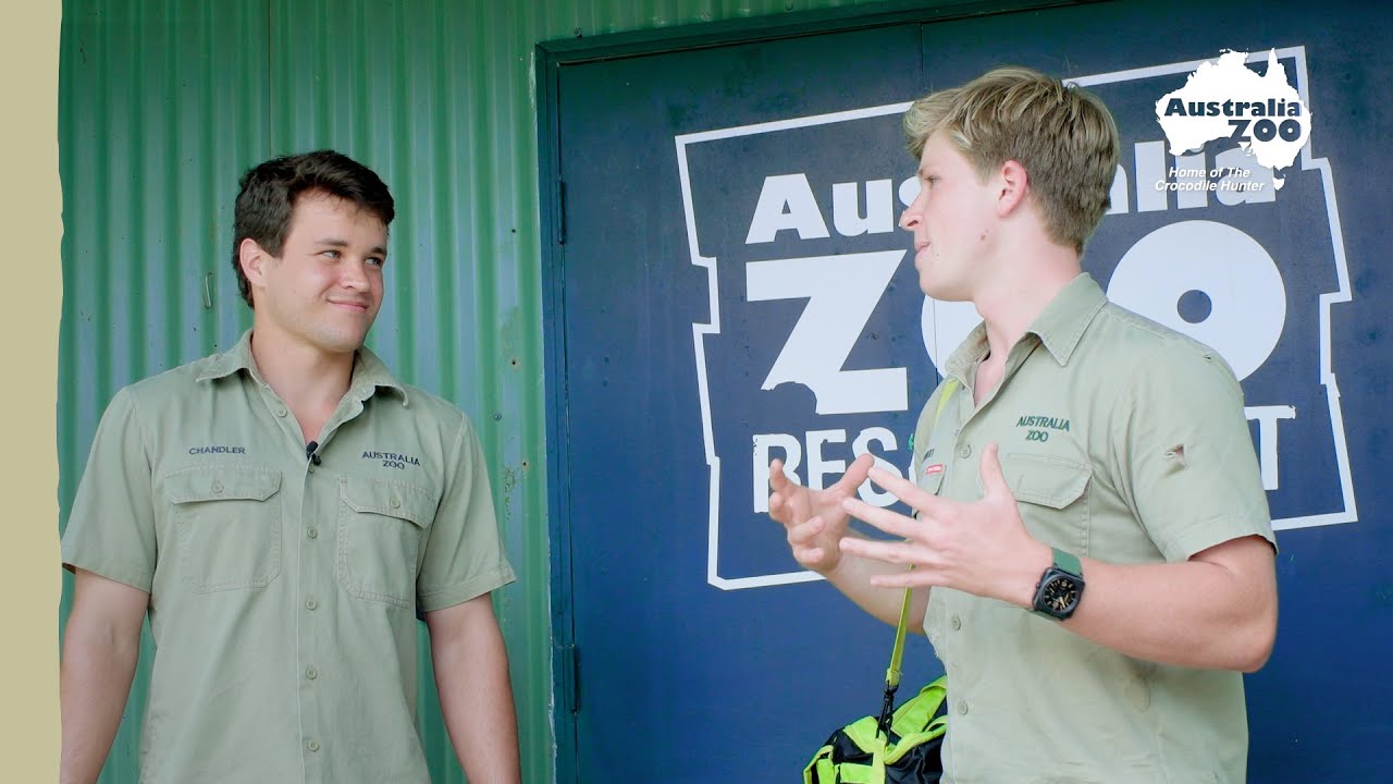 Robert Irwin and Chandler join the rescue team | Irwin Family Adventures