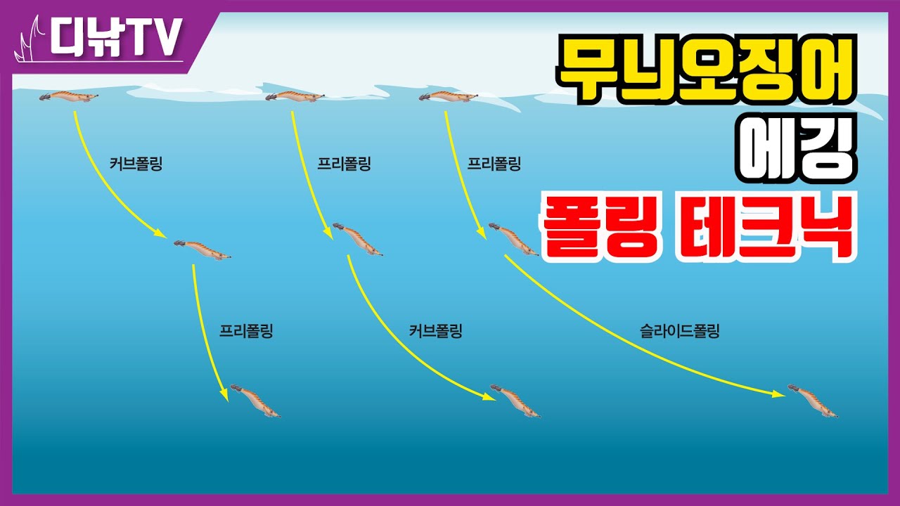 무늬오징어 에깅 폴링 테크닉 총정리! 프리폴링, 커브폴링, 슬라이드폴링,  복합폴링 [디낚TV 낚시공부방]