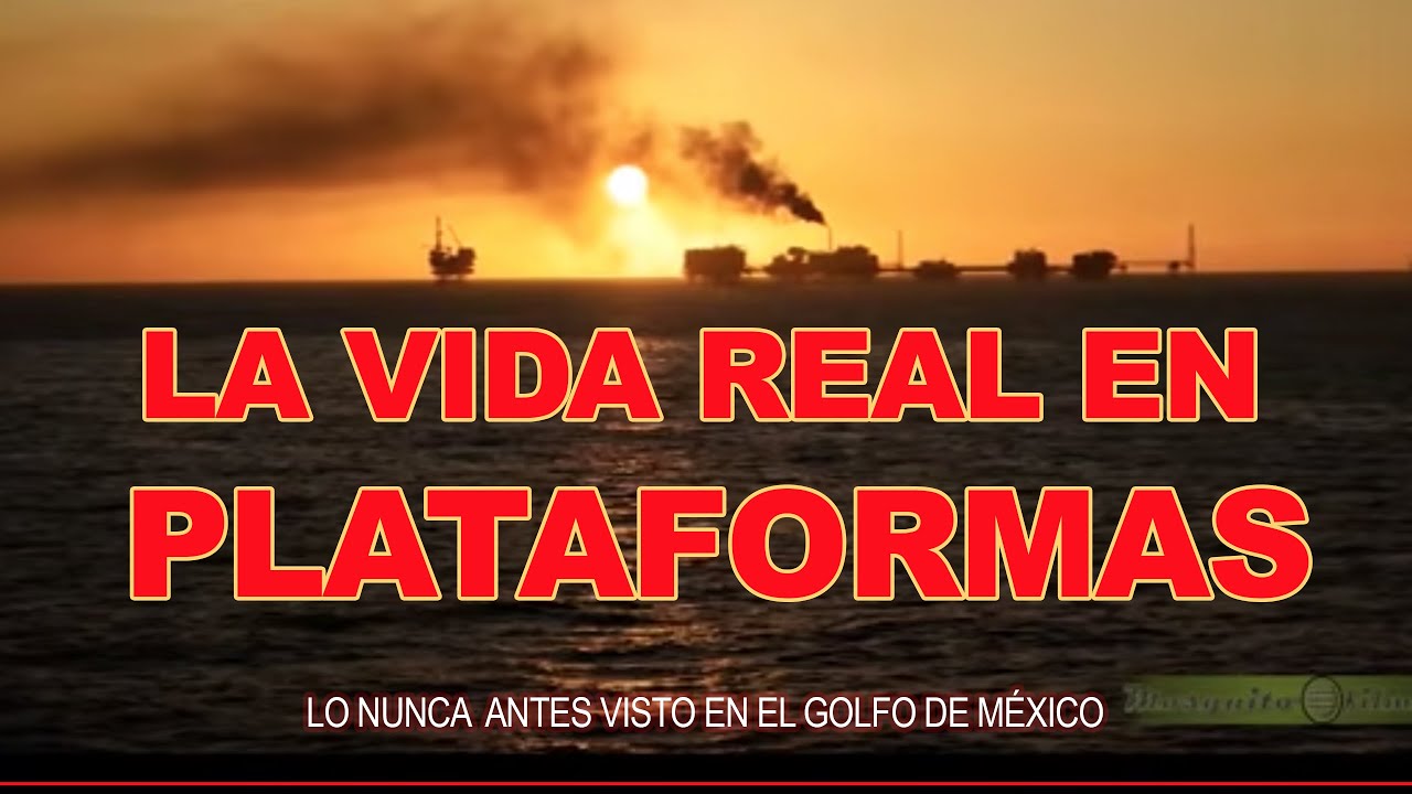 La vida real en Plataformas | Documental