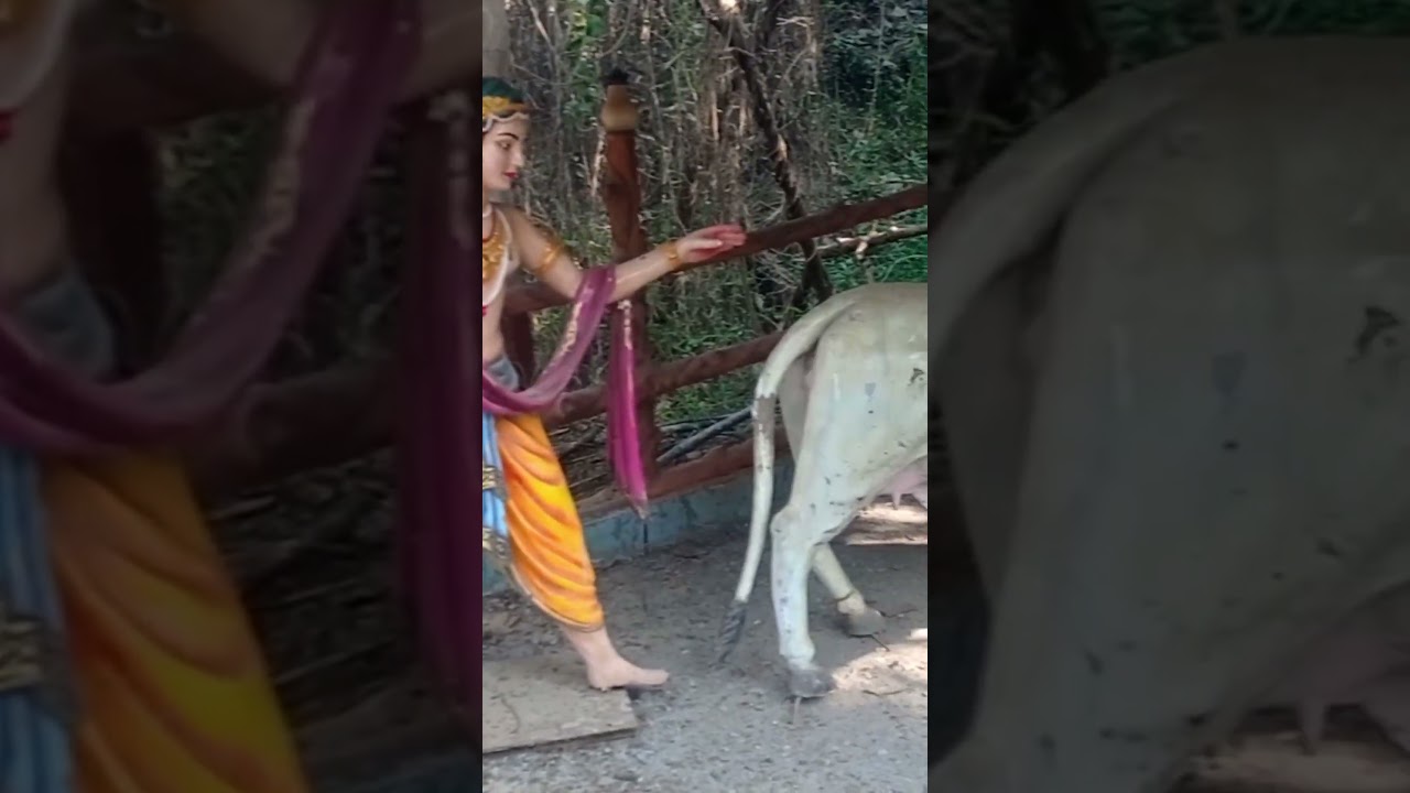 Poicha Swaminarayan Temple #shorts @souravjvlogs @ManojDey @ManojDeyVlogs