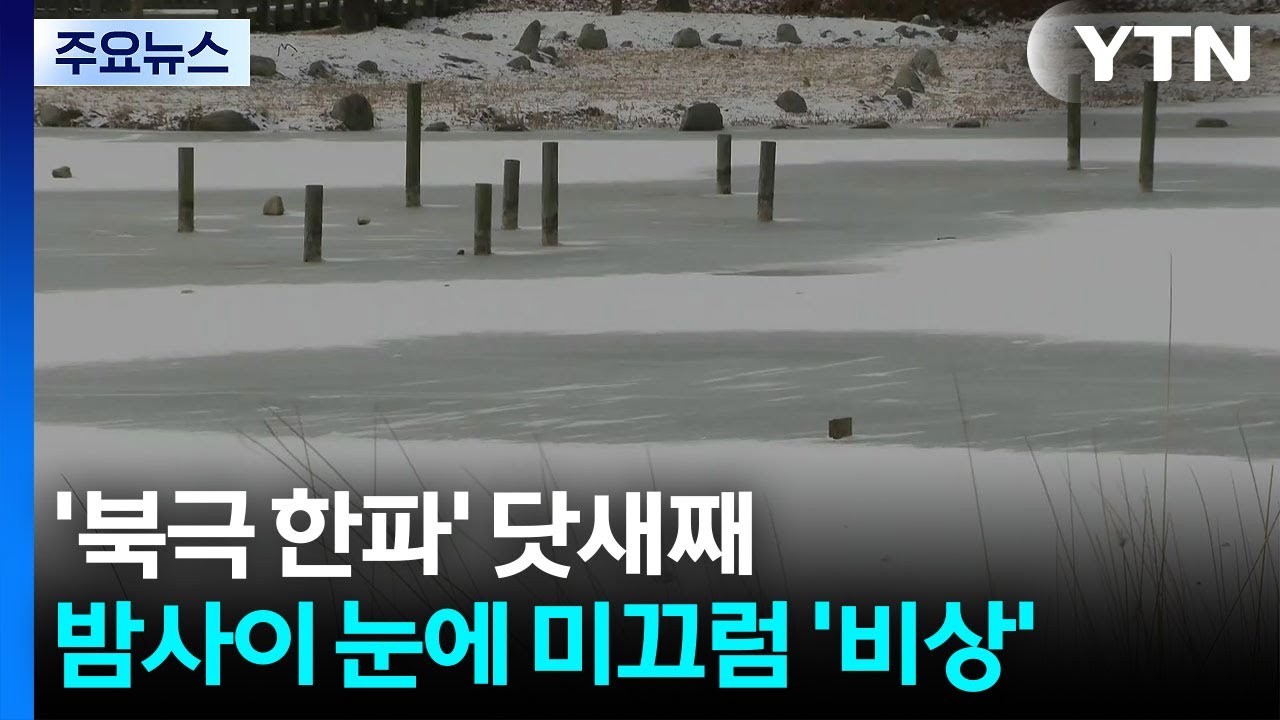 '북극 한파' 닷새째...밤사이 내린 눈에 미끄럼 '비상' / YTN