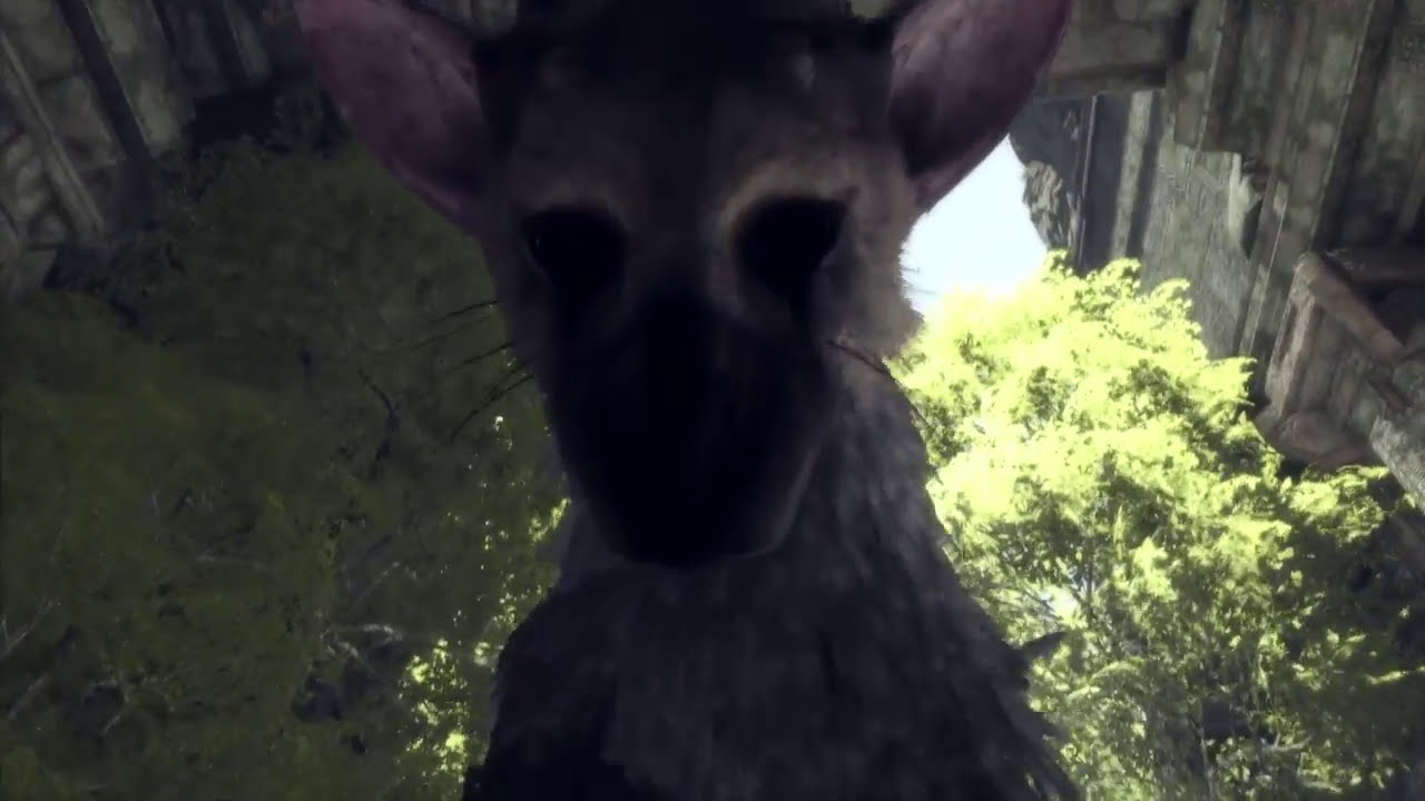 The Last Guardian Trico is the cutest