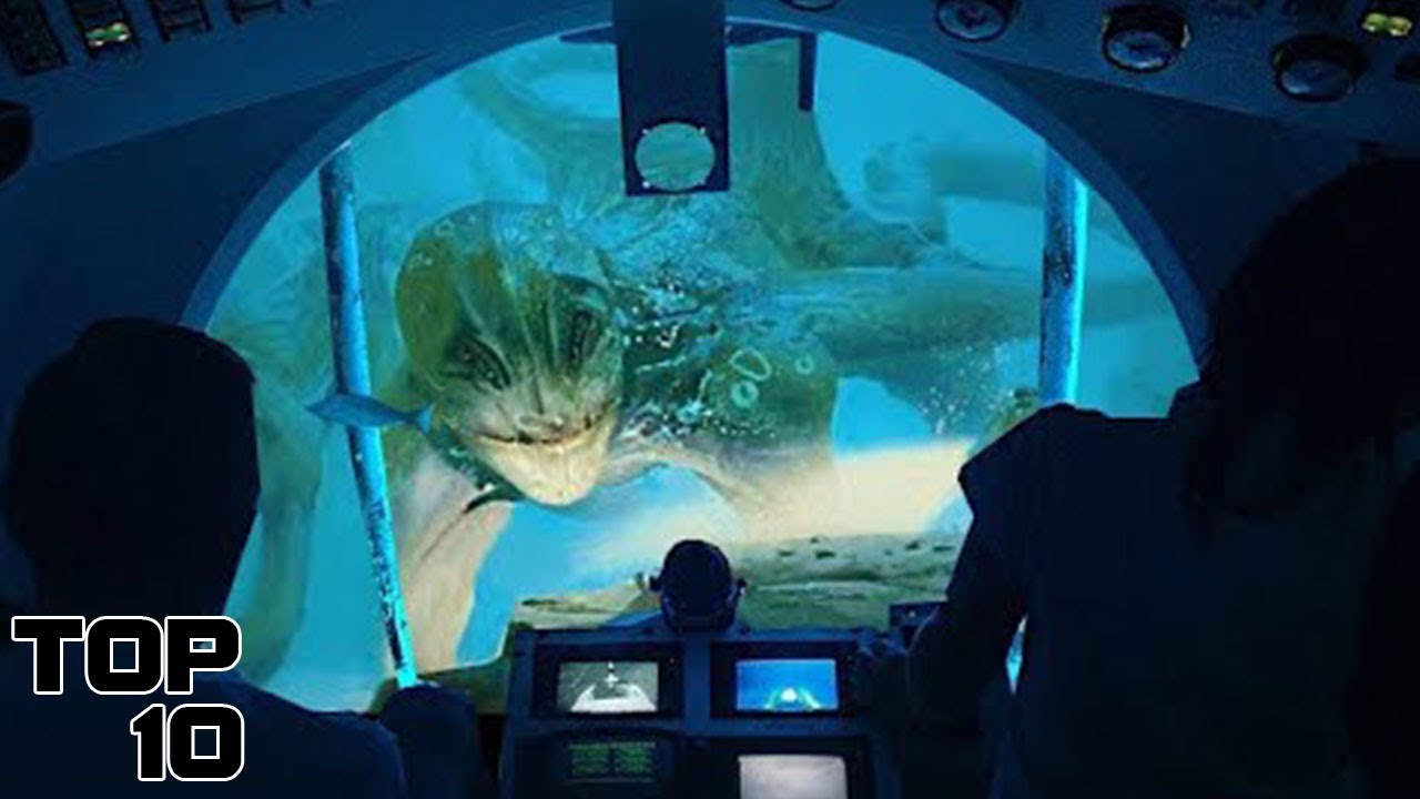 Top 10 Unsettling Discoveries In The Great Blue Hole