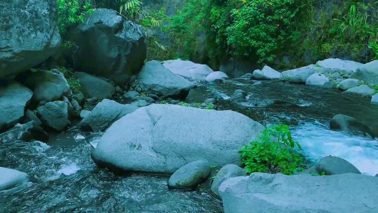 Calm Lake Atmosphere for Reading, Mental Healing