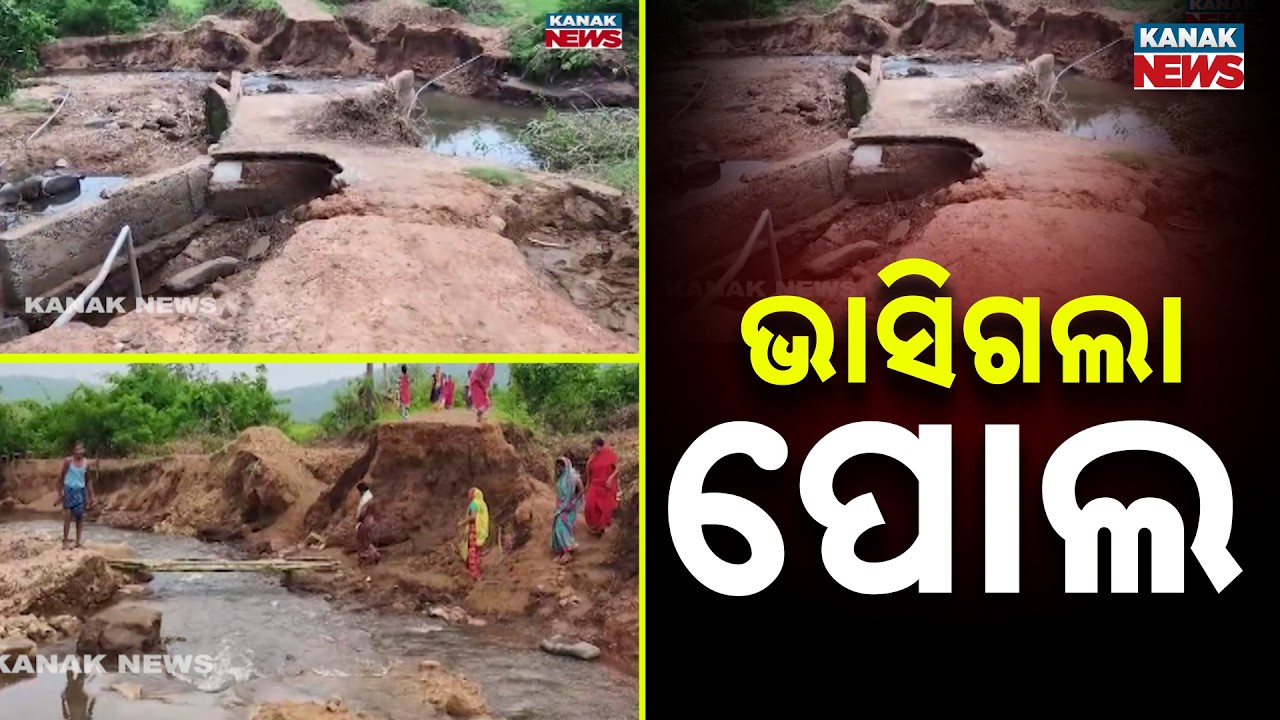 Odisha Rain News | Bridge Collapses in Angul, Villagers Stranded