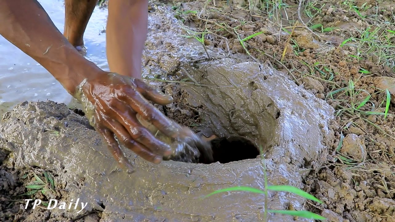 Best Mud Water Fishing - Smart Boys Build Deep Hole Underground Fish Trap By Muddy soil Work 100%
