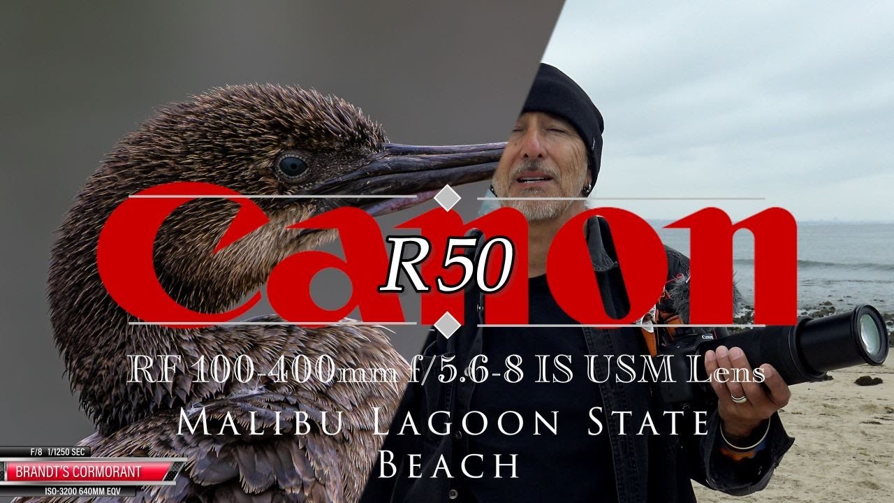 Canon R50 and 100-400 at Malibu Lagoon