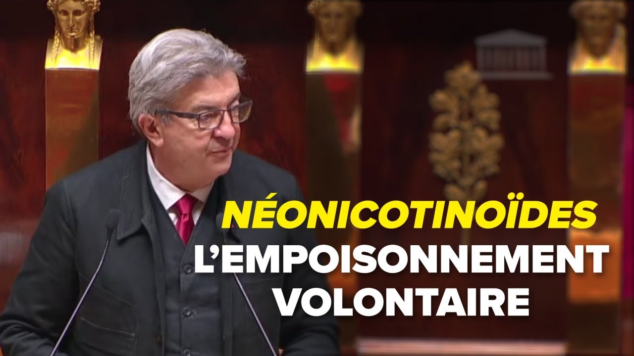 Néonicotinoïdes : l'empoisonnement volontaire