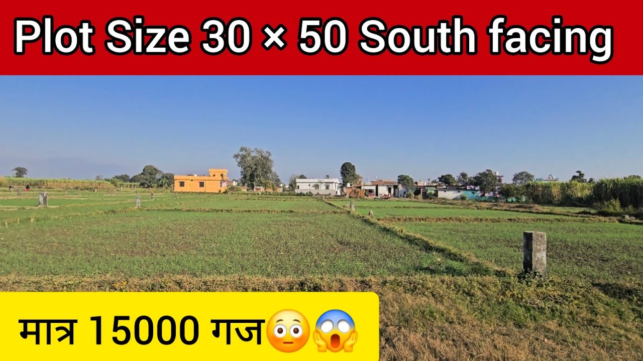 Plot in best price😱, Property in Doiwala Dehradun #property #plotindehradun #dehradun #realestate