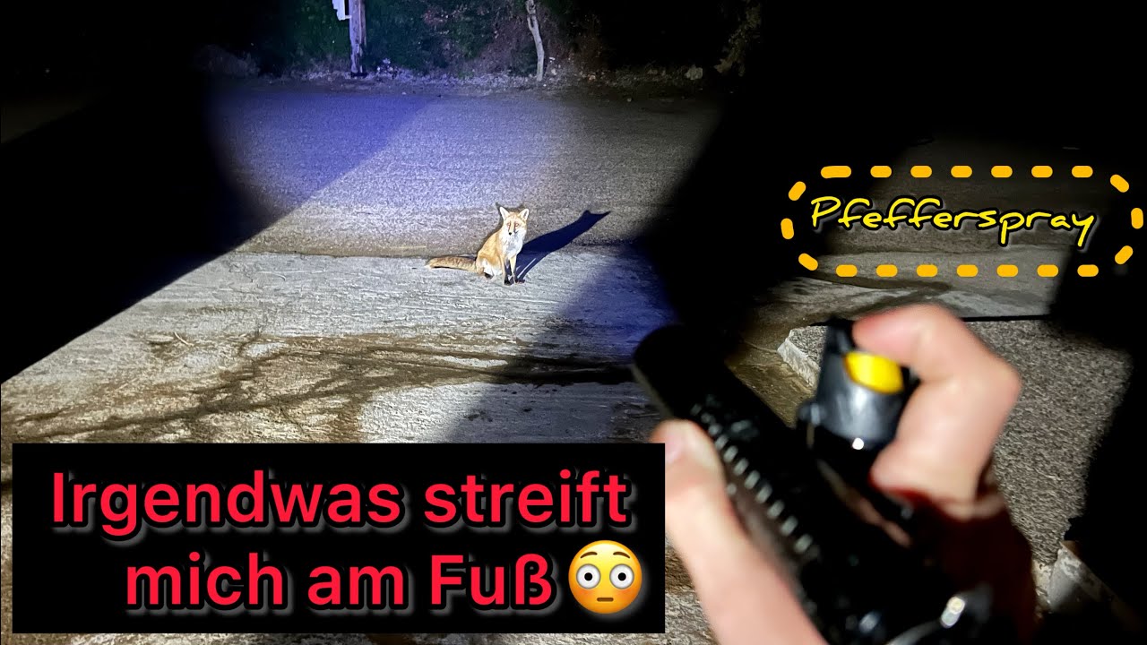 Komische Begegnung mit dem Fuchs 🦊 Straftat Mundraub | Griechenland Tour #9