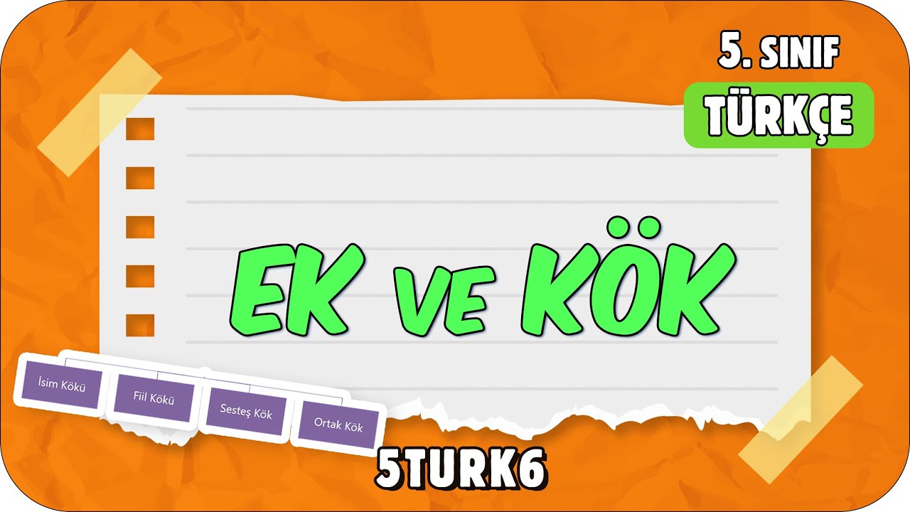 Ek ve Kök 📙 5. Sınıf Türkçe #2024