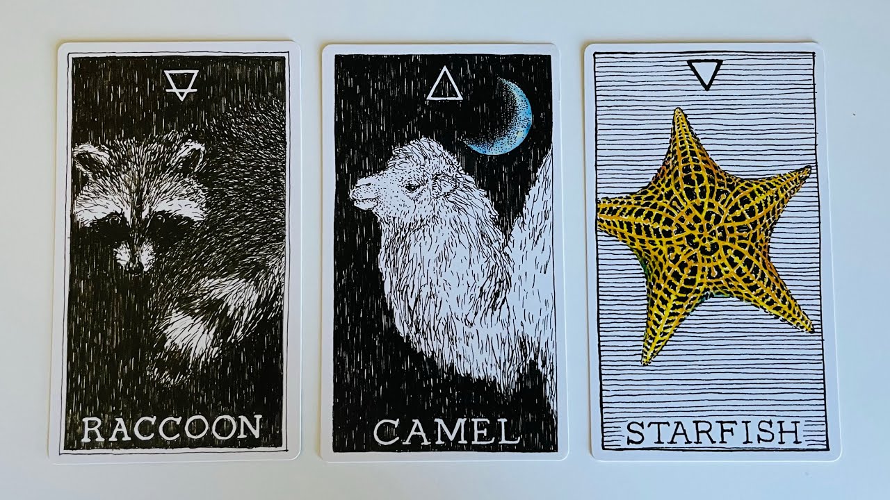 What You Need to Know Right Now - Pick a Card - Timeless Tarot