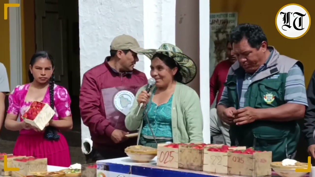 Alcaldía de Pocona invitó al Solsticio de Verano “Qhapaj Raymi” en Incallajta 20 y 21 de diciembre