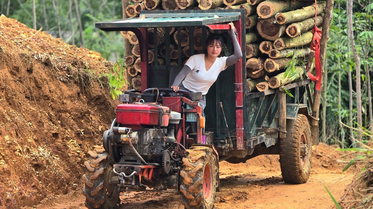 Full video of a girl transporting dangerous and arduous timber shipments#agricultural#truck#wood