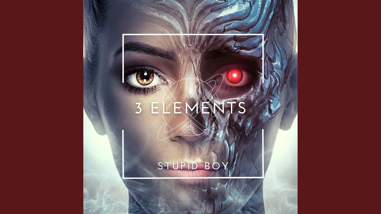 Stupid Boy