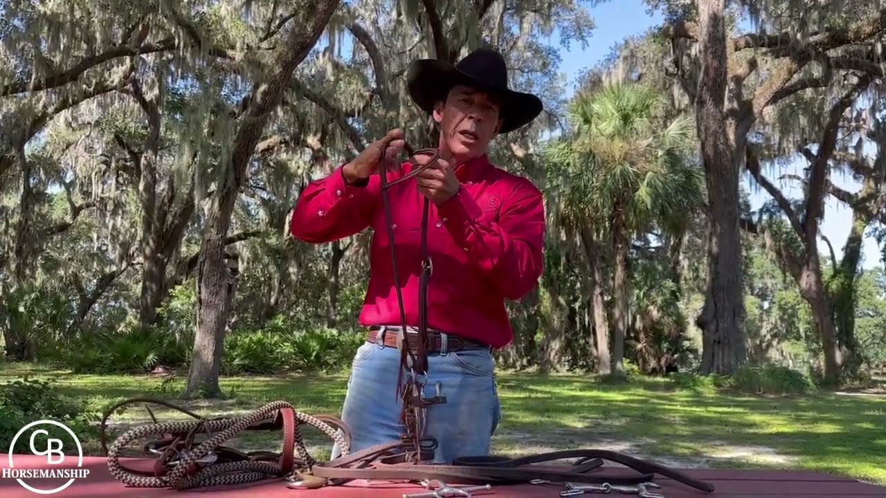 Horse Bits: Snaffles and Leverage Bits