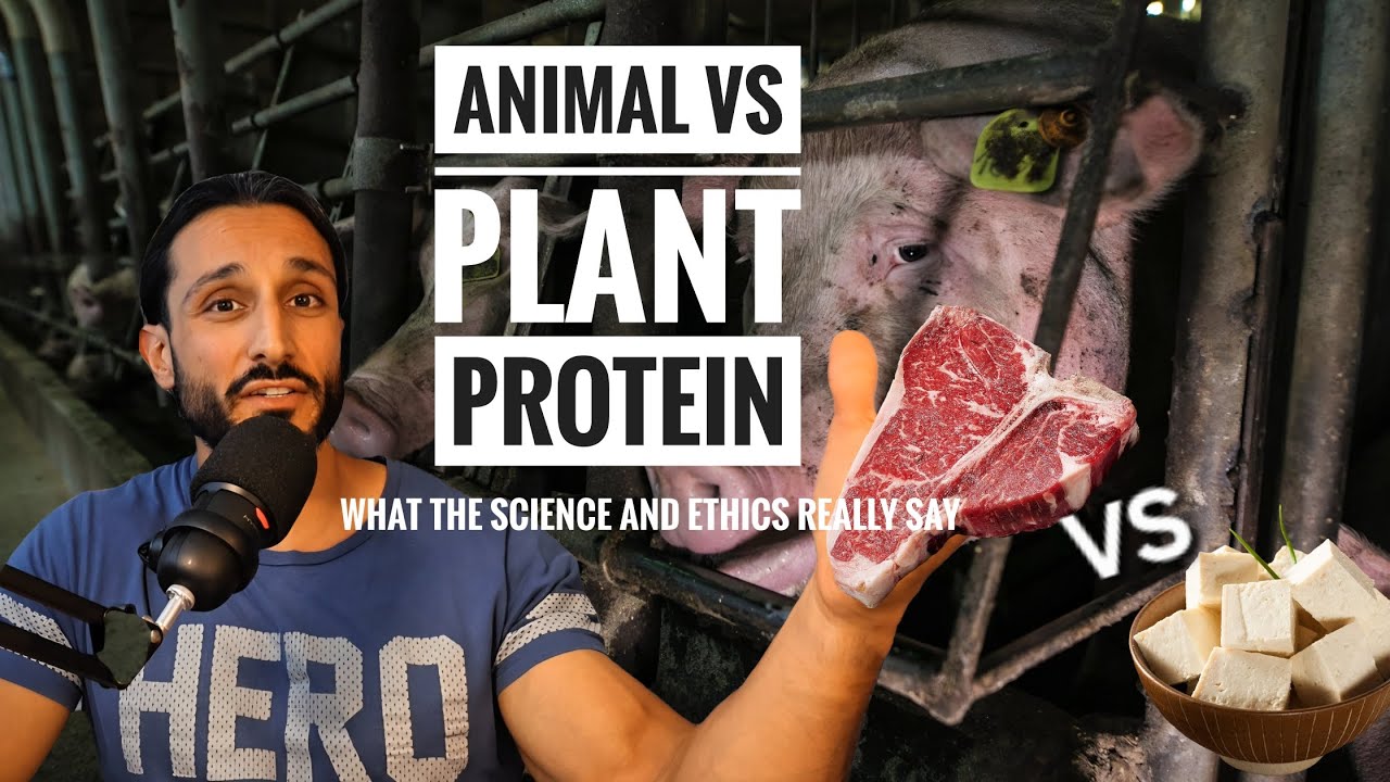 Animal Vs Plant Protein: What the Science & Ethics ReallySay  