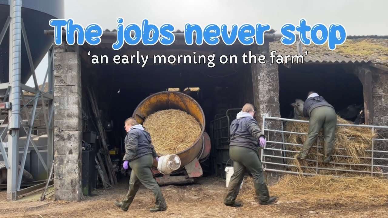 Early Morning on the Farm - Day in the life of a Farmers Wife