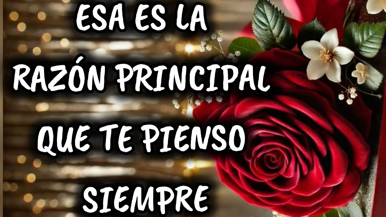 Esa es la razón principal que te pienso siempre