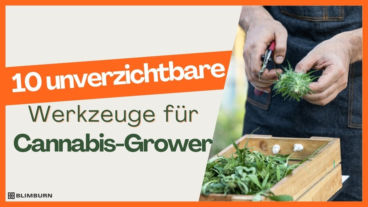 10 essentielle Werkzeuge f&uuml;r den erfolgreichen Pflanzenanbau 🌱📏