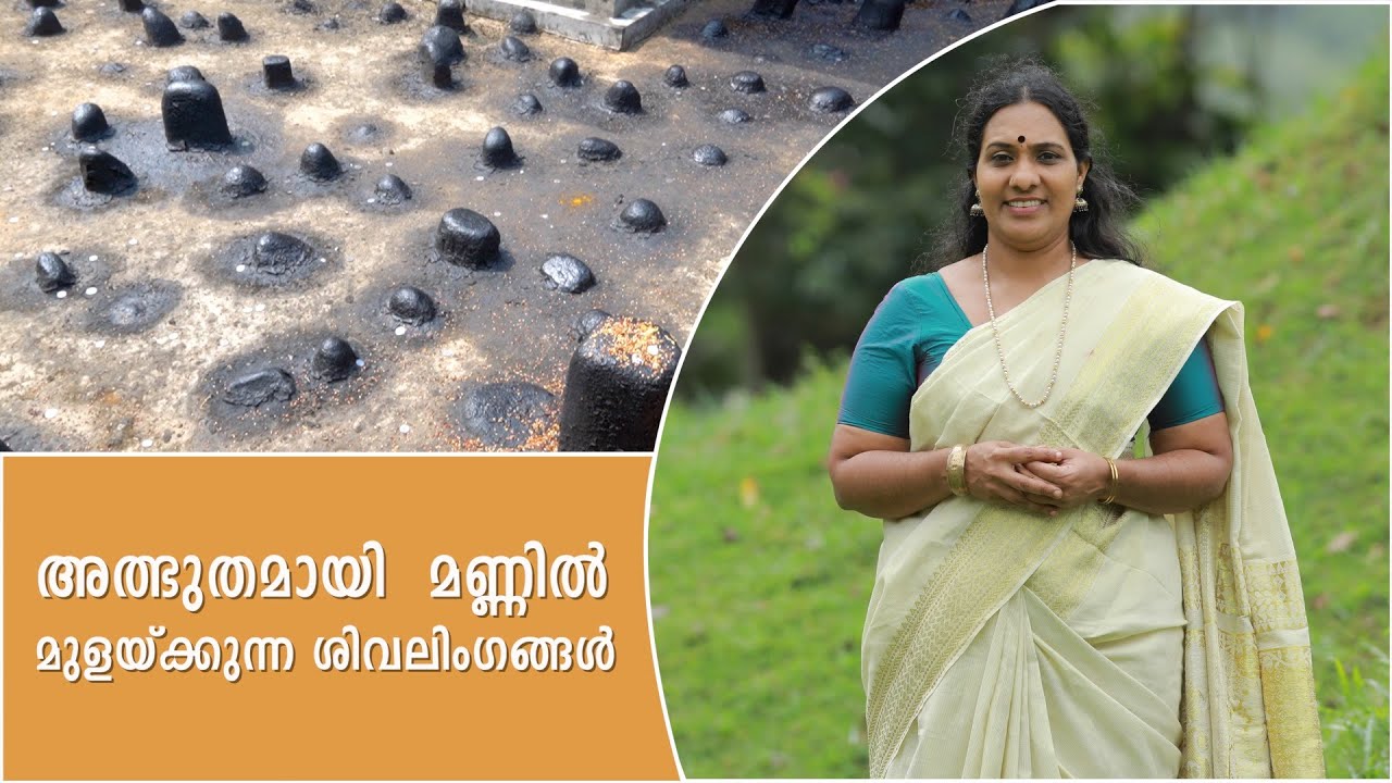 അത്ഭുതമായി മണ്ണിൽ മുളയ്ക്കുന്ന ശിവലിംഗങ്ങൾ @MokshaYatras