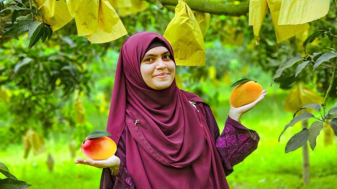 The biggest mango market in Bangladesh is in রাজশাহি || বাংলাদেশের সবচেয়ে বড় আম বাজার।