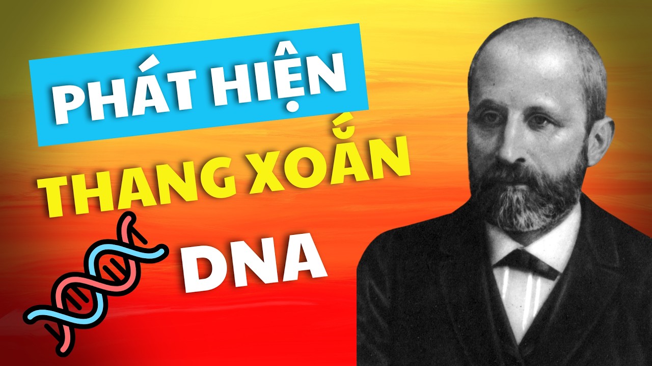 Lịch sử phát hiện ra DNA và cấu trúc xoắn kép | Lịch sử và nhận thức