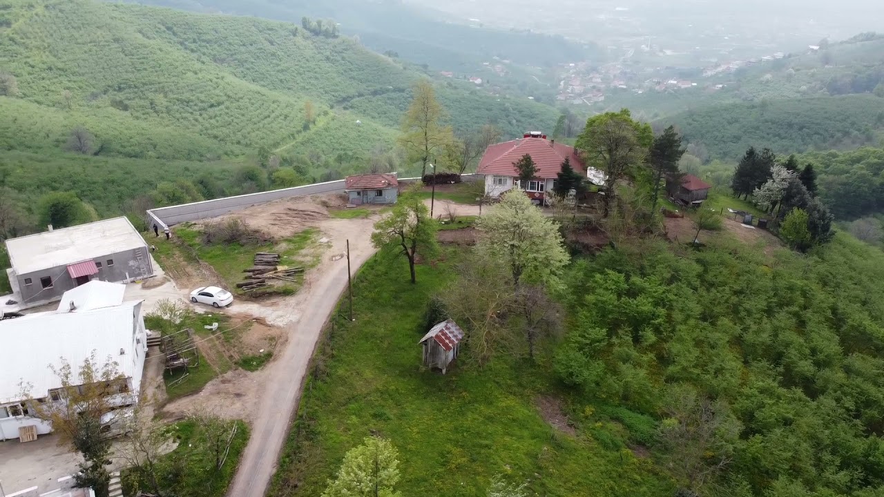 Sakarya/Akyazı /Merkezyeniköy
